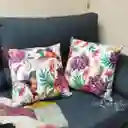 2 Cojines Jardín Colibrí