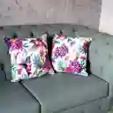 2 Cojines Jardín Colibrí