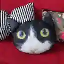Cojín Cara De Gato Bicolor