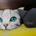 Cojín Cara De Gato Ojos Azules