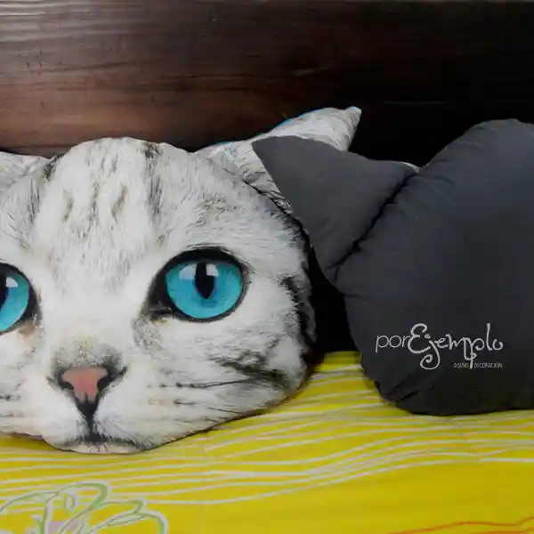 Cojín Cara De Gato Ojos Azules