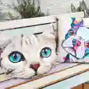Cojín Cara De Gato Ojos Azules
