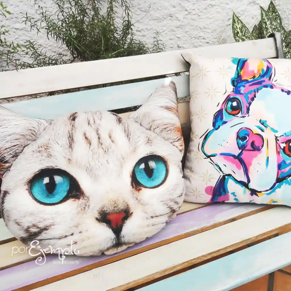 Cojín Cara De Gato Ojos Azules