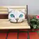 Cojín Cara De Gato Ojos Azules
