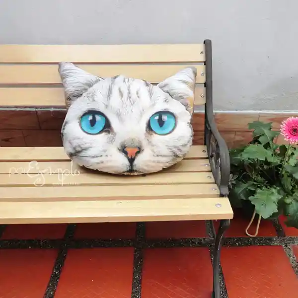 Cojín Cara De Gato Ojos Azules