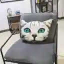 Cojín Cara De Gato Ojos Azules