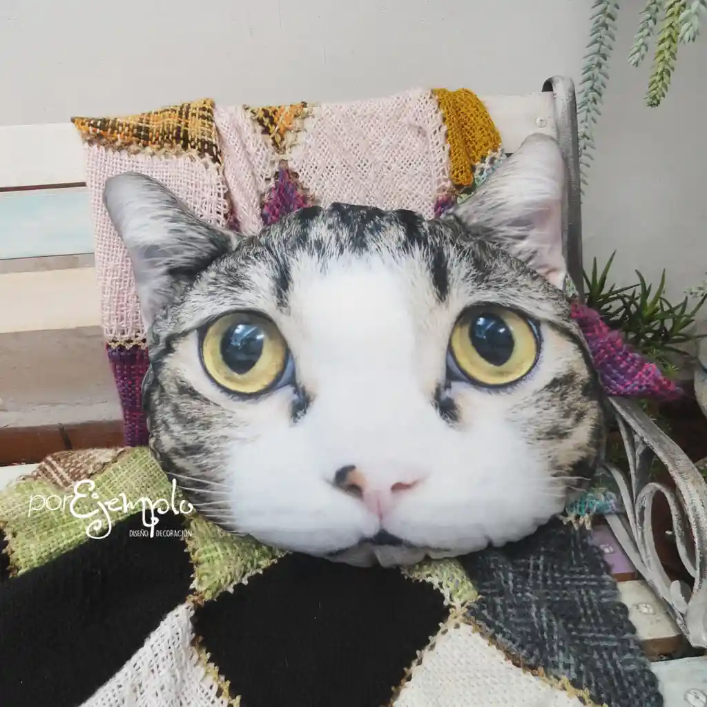 Cojín Cara De Gato Ojos Amarillos