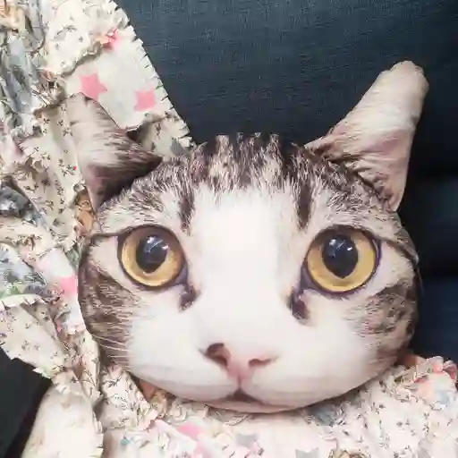 Cojín Cara De Gato Ojos Amarillos