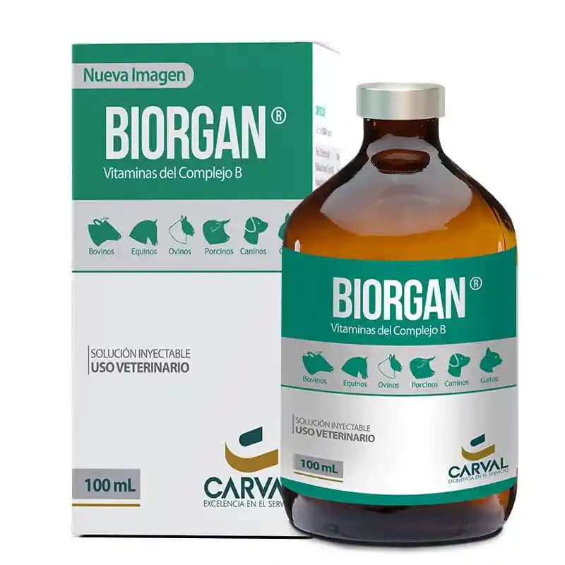 Biorgan X 250 Ml Inyectable Vitamina Para Caballos
