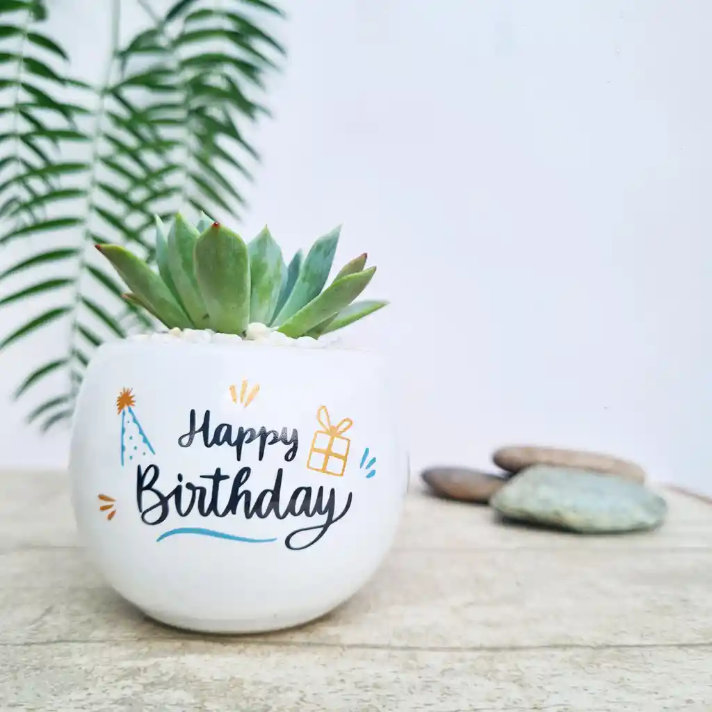 Regalo Feliz Cumpleaños🥳+ Caja 30 Frases Motivacionales.