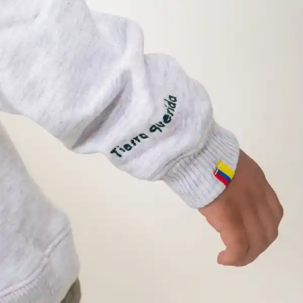 8 - 10 / Buzo Tierra Querida - Kids - Gris