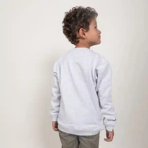 8 - 10 / Buzo Tierra Querida - Kids - Gris