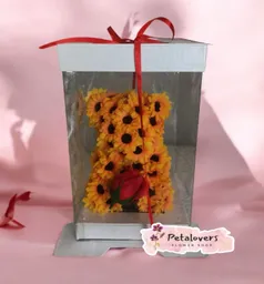 Flores Preservada Oso Girasoles