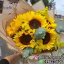 Bouquet De 6 Girasoles Redondo