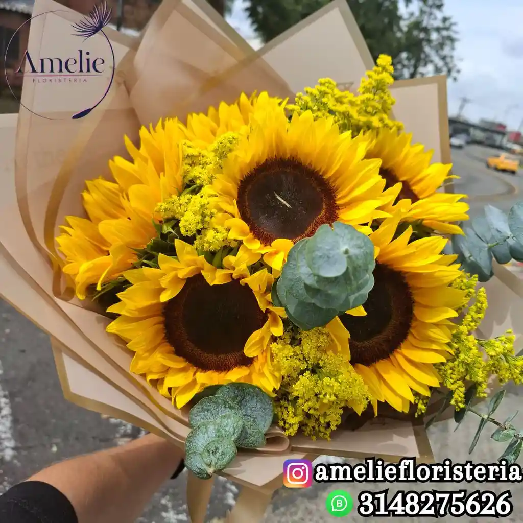 Bouquet De 6 Girasoles Redondo