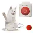 Pelota Autorodante Juguete Para Gatos