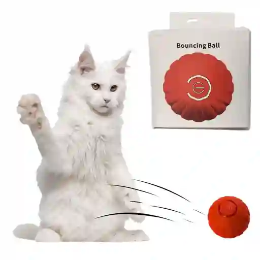 Pelota Autorodante Juguete Para Gatos