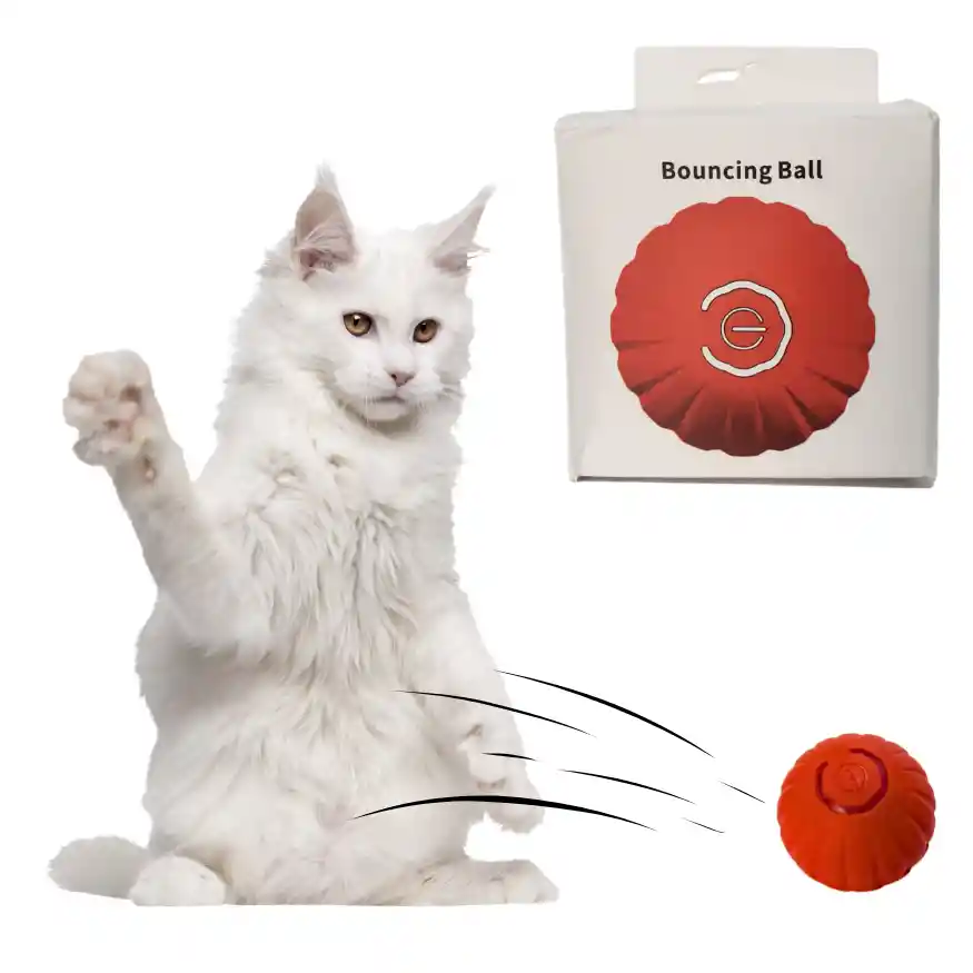Pelota Autorodante Juguete Para Gatos