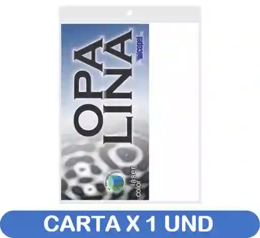 Cartulina Opalina Tamaño Carta - X 1 Und