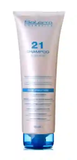 Shampoo Salerm 21 300ml