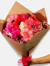 Gerberas Multicolores