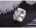 Anillo Ajustable En Plata Esterlina 925 Forma De Plumas