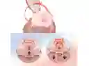 Termo Botella Agua Gimnasio Gym, Estruche Funda + Cargadera