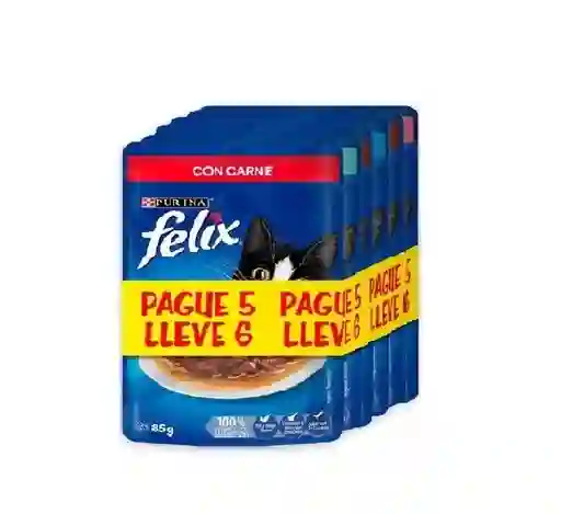 Pouch Felix Gato Pague 5 Lleve 6