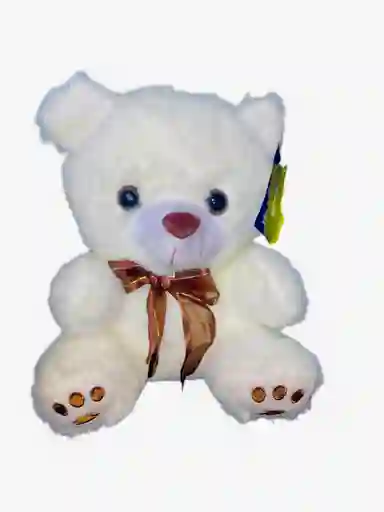 Peluche Oso (regalo Para Mujer, Niño O Niña, Regalo De Cumpleaños)