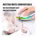 Mouse Para Computador Recargable Conexión Bluetooth Jr3