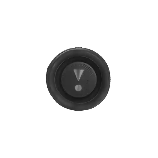 Parlante Flip 6 Negro
