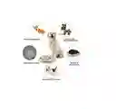 Comedero Didactico Para Mascota Tazon Interactivo