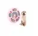 Comedero Didactico Para Mascota Tazon Interactivo