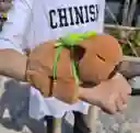 Manilla Capibara