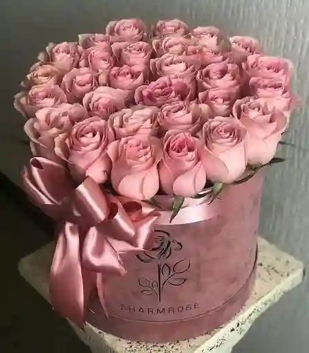 Dulce Encanto De Rosas Rosadas