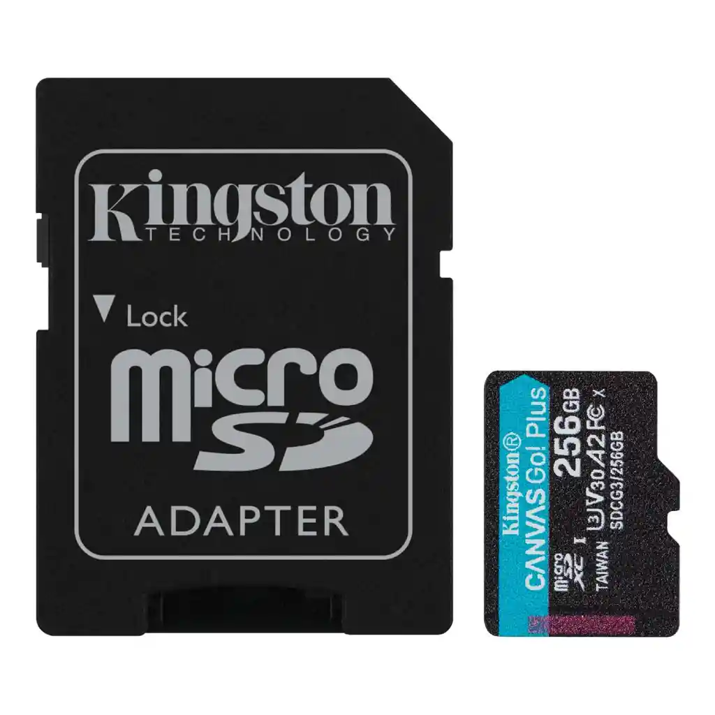 Memoria Micro Sd 256 Gb Canvas Go! Plus