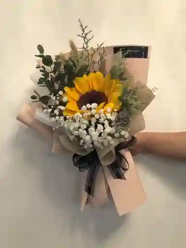 Unidad De Girasol