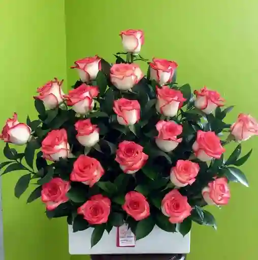 Canasta De Rosas Rosadas Con Rusco