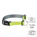 Collar Ajustable Mylu Xs