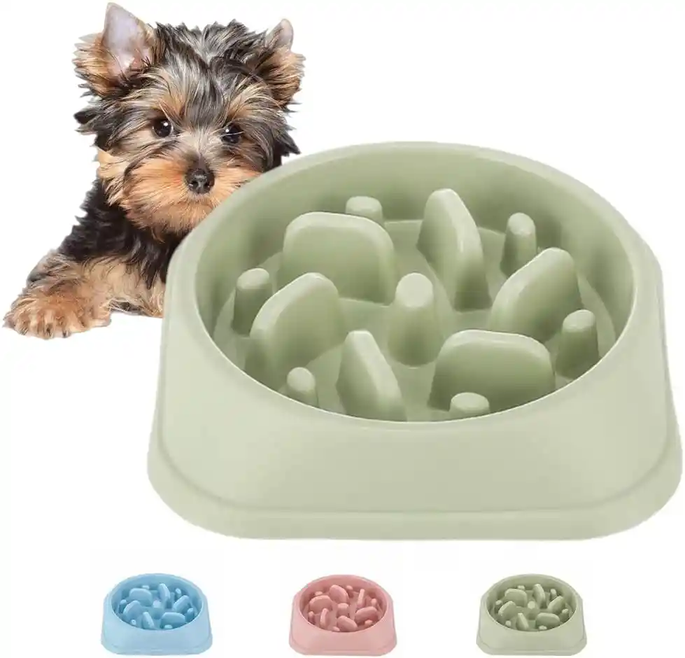 Plato Mascotas Antireflujo E Interactivo Alimentacion Lenta