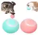 Pelota Gato