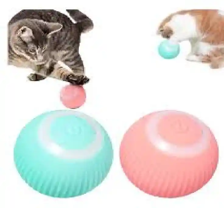 Pelota Gato