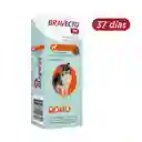 Bravecto * 37 Días (4.5 Kg - 10 Kg)