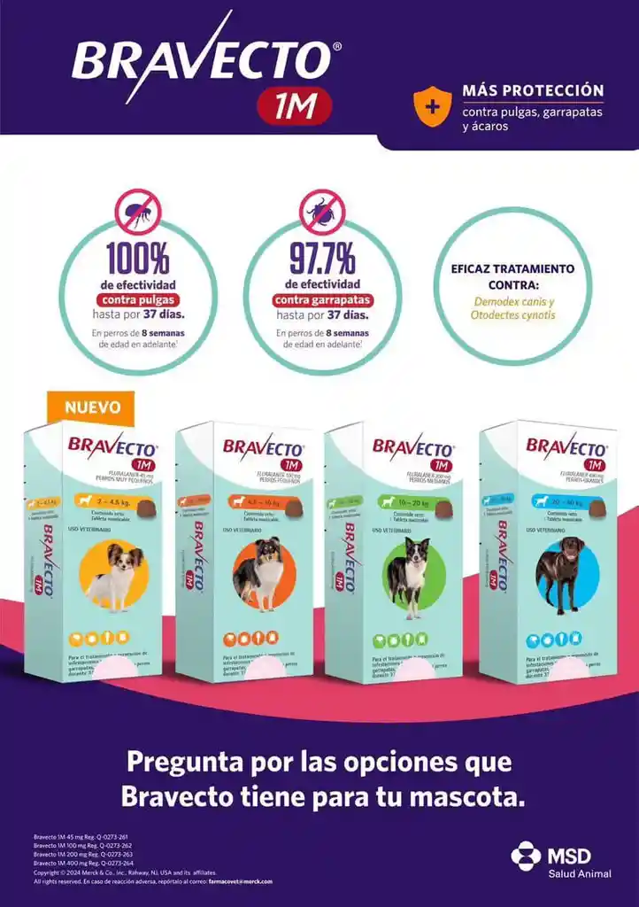 Bravecto * 37 Días (4.5 Kg - 10 Kg)