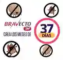 Bravecto * 37 Días (10kg - 20 Kg)