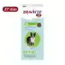 Bravecto * 37 Días (10kg - 20 Kg)
