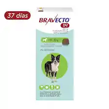 Bravecto * 37 Días (10kg - 20 Kg)