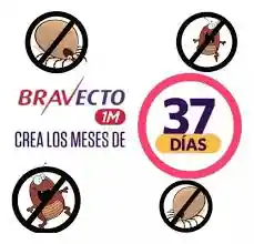 Bravecto * 37 Días (20kg - 40kg)