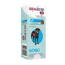 Bravecto * 37 Días (20kg - 40kg)