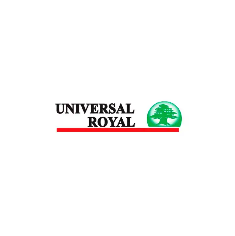 Plancha A Vapor Universal Royal Color Surtido